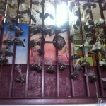 IES José de Churriguera, Leganés, convertido en un bosque