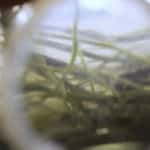 5ºlenterecicladaLuisMel_11.2.3