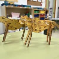 reciclaje carton2_santa amelia