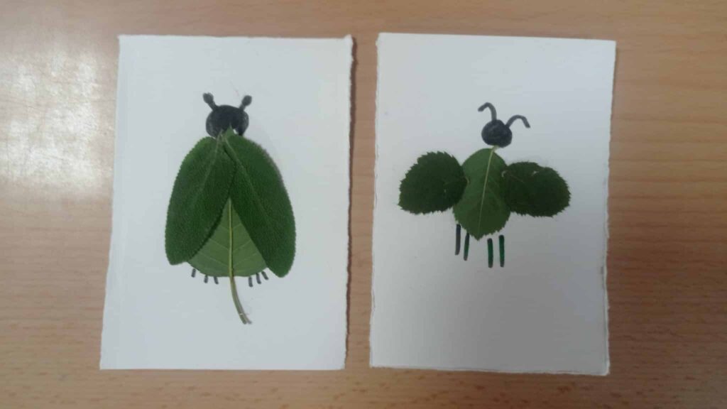 MadCAMachadobichos (1)