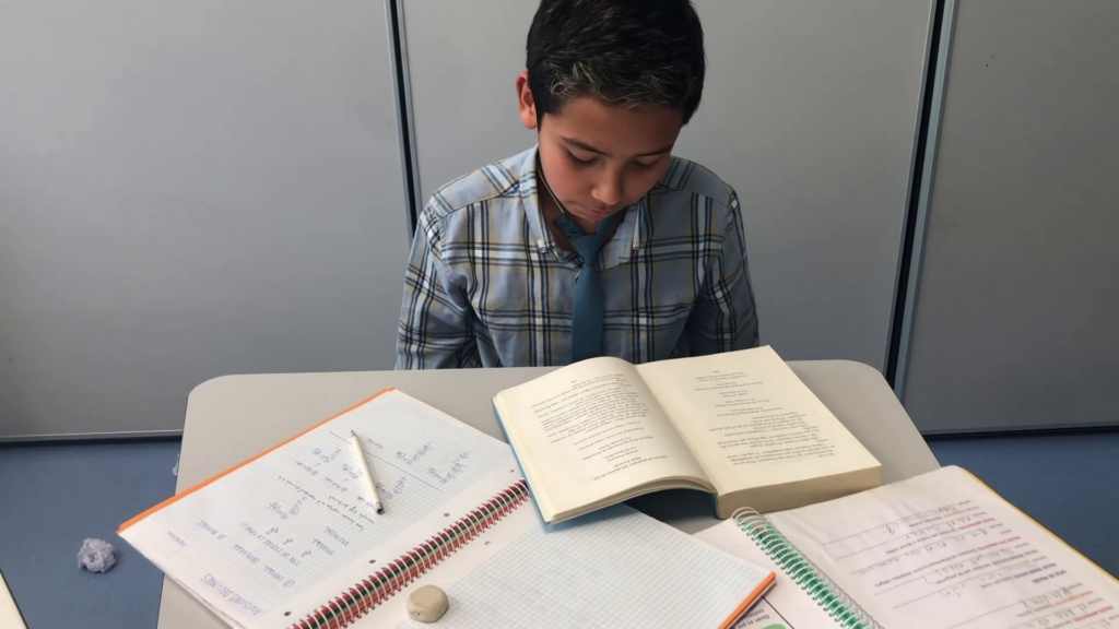 CatEAgoraNTenredis3 (2)