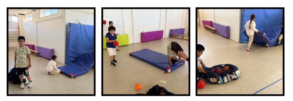Historia Social gimnasio